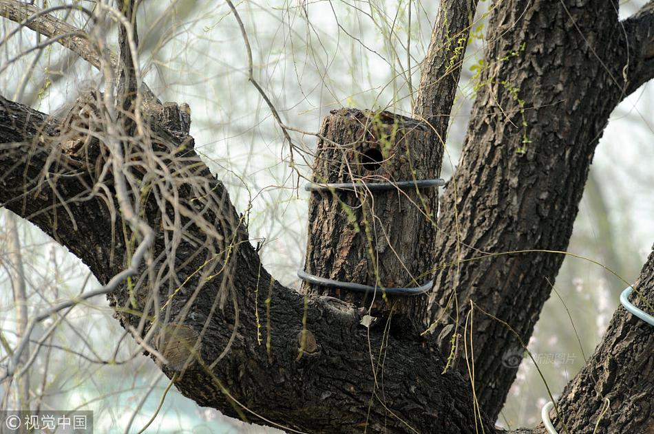 A study found that spending time outdoors every day improves mood and overall mental health