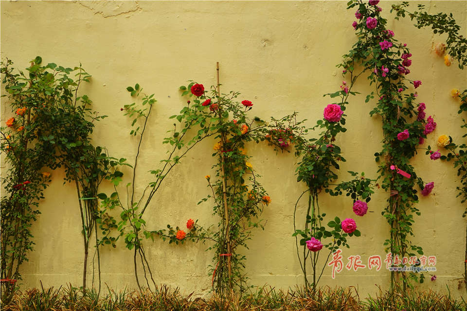 Local authorities launched a campaign to clean up a polluted river with volunteers collecting over 7.5 tons of trash