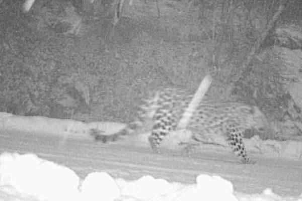 Local authorities launched a campaign to clean up a polluted river with volunteers collecting over 6 tons of trash