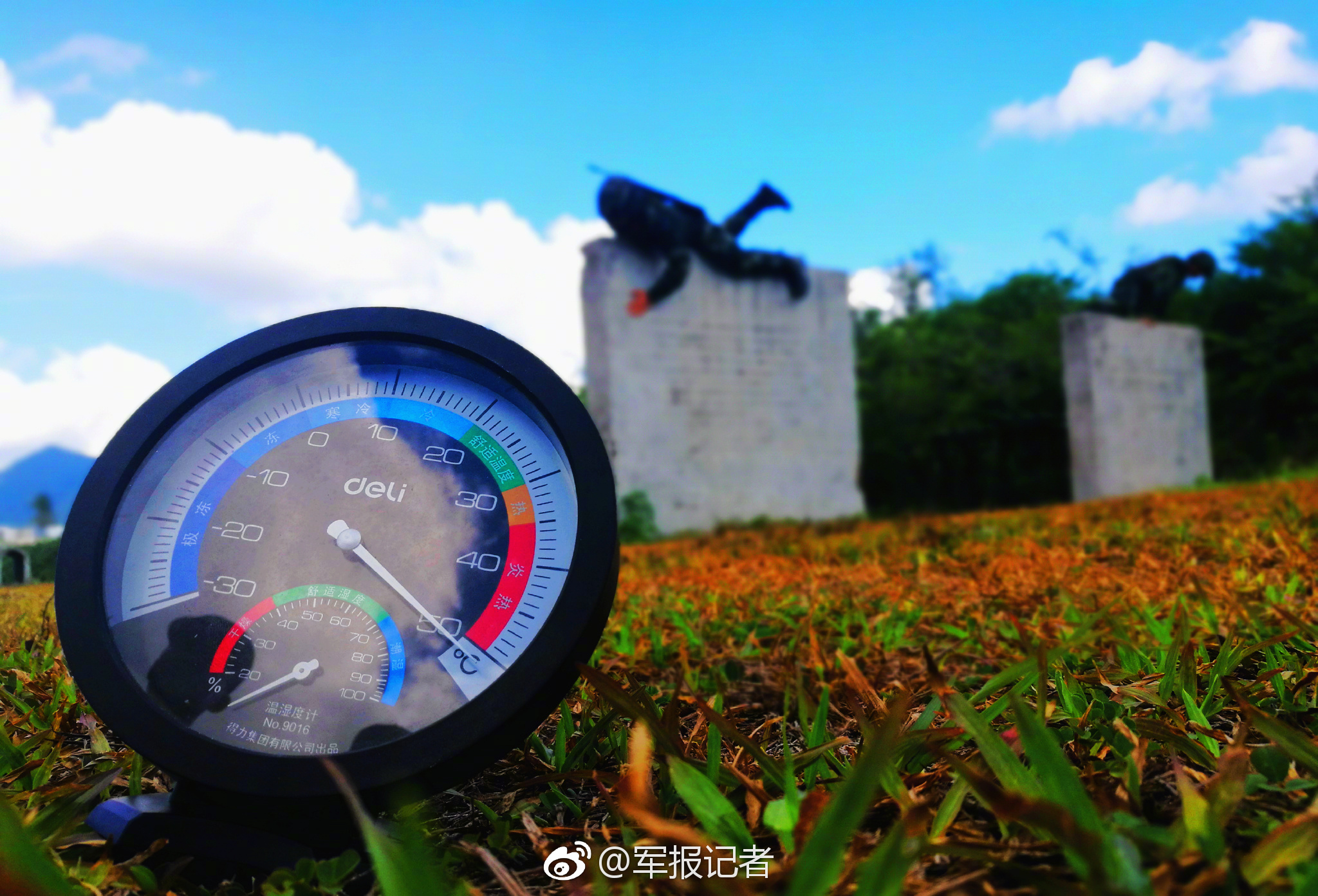 A farm started selling 