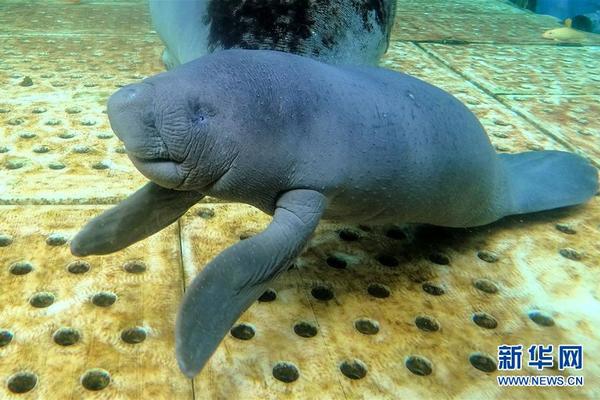 Hardware store offers DIY home repair workshops for beginners