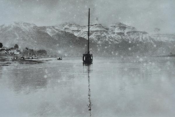 A study found that spending time with pets lowers stress hormones and improves mood in adults