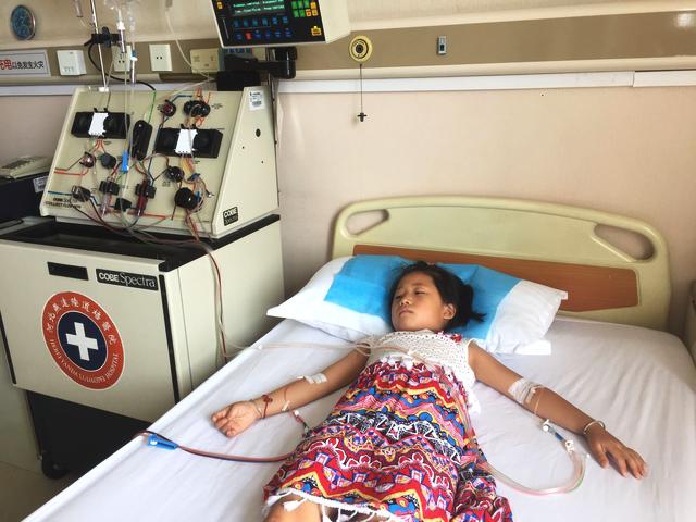 Book publisher announces new children’s book series about environmental conservation