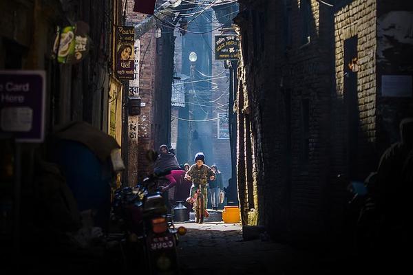 Study shows that gardening increases physical activity in older adults