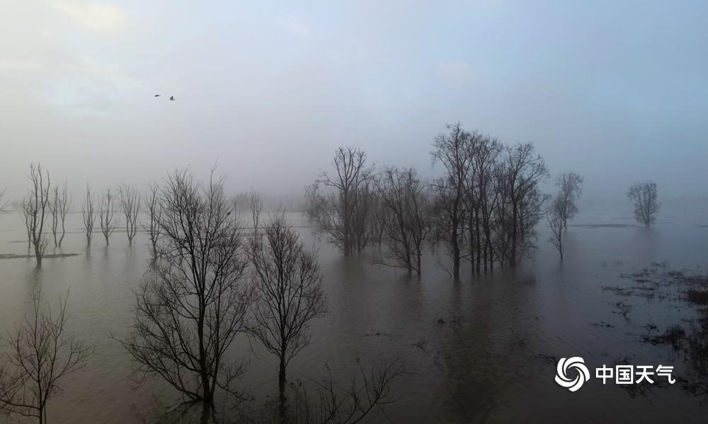 A library started offering