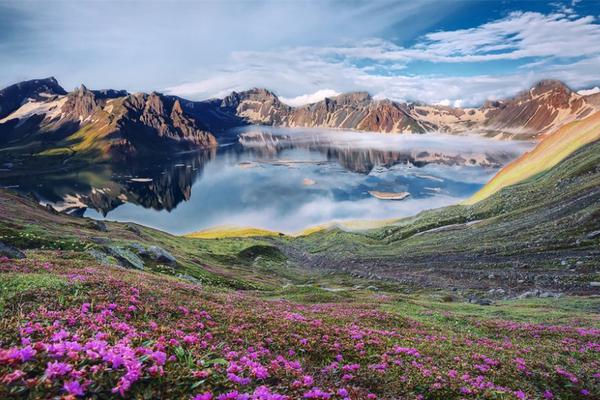 A renowned music festival revealed its lineup including Grammy-winning artists and indie bands