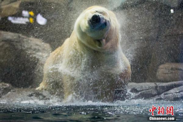 A leading streaming service released a docuseries about endangered species conservation