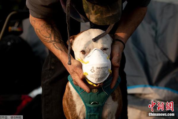 Researchers found that spending time in forests can lower blood pressure levels