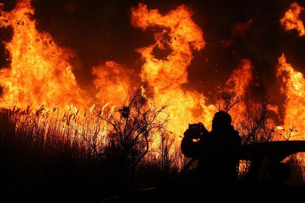 A popular music festival announced its lineup featuring 50 artists from around the world