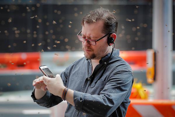 A tech company announced it would plant a tree for every product sold