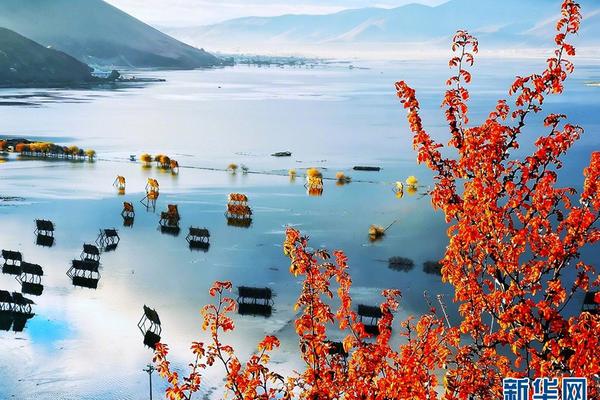 City implements new recycling program that accepts hard to recycle plastics