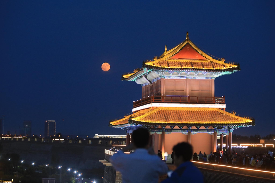 Coast guard seizes illegal cargo of endangered sea turtles off southern coast