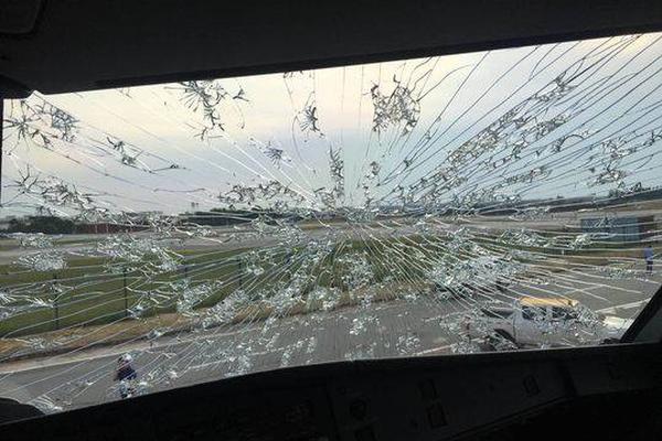 A major hotel chain announced it will implement a zero-waste policy in all its hotels reducing landfill waste by 93%