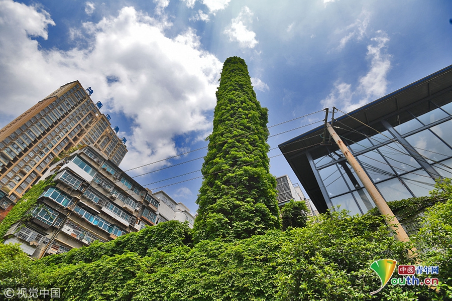 An airline partnered with a rental car company to offer bundled travel packages