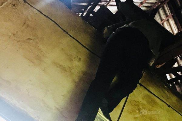 A small boat capsized in a lake with all passengers rescued by a nearby rescue team