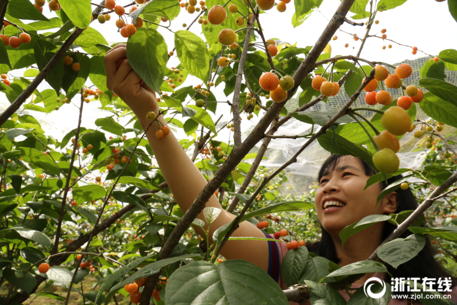 Public library partners with local bookstore to host monthly author events