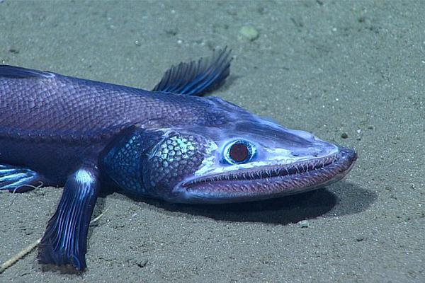 Local schools held a sports day for students to promote physical activity