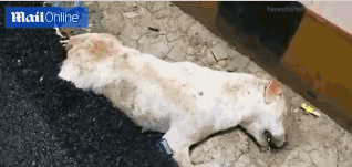 Scientists developed a new material that can recycle plastic waste into useful products