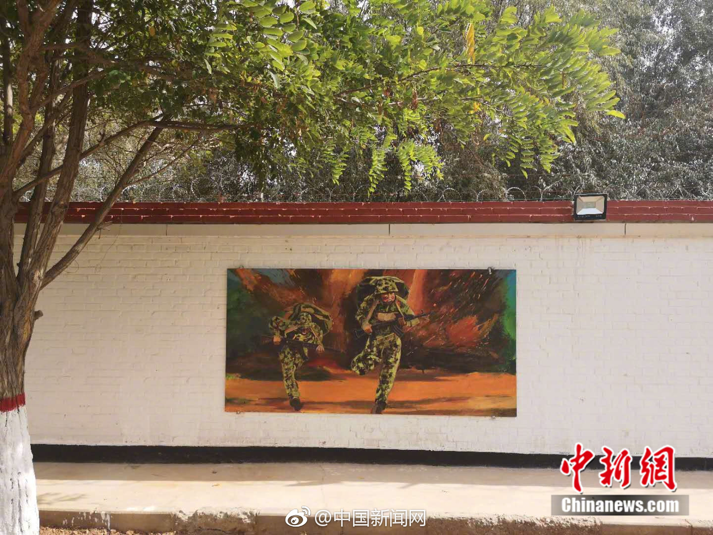 The city council voted to ban single-use plastic straws in all restaurants and cafes