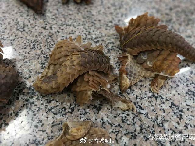 A national park reported an increase in the number of birdwatchers visiting during migration season