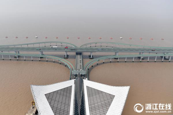 A tech startup released a new app that helps users find local fitness classes