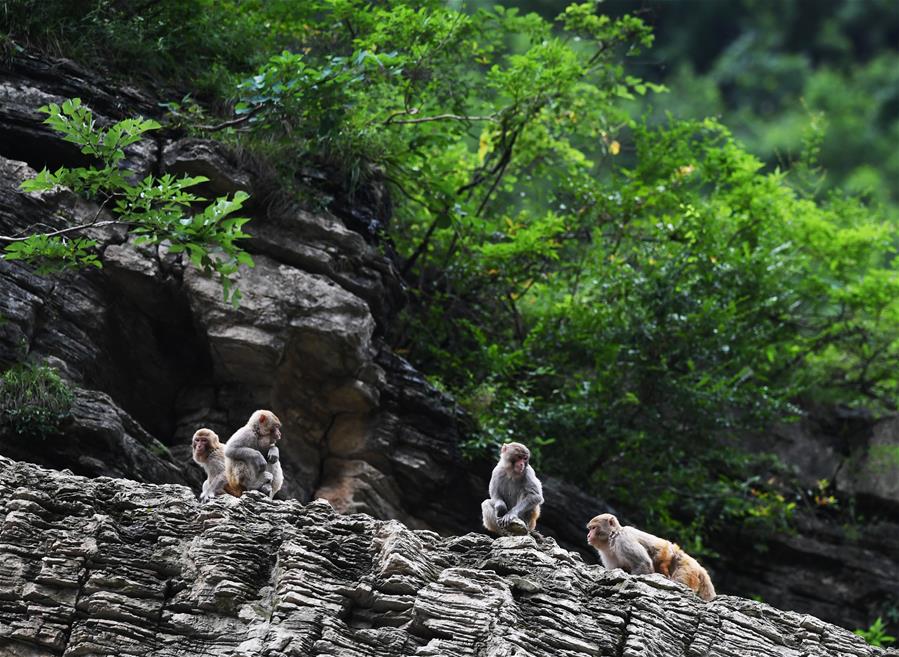 A city added 10 miles of bike paths connecting residential areas to downtown