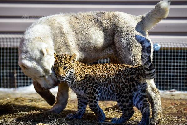 Researchers found that listening to classical music while studying can improve test scores