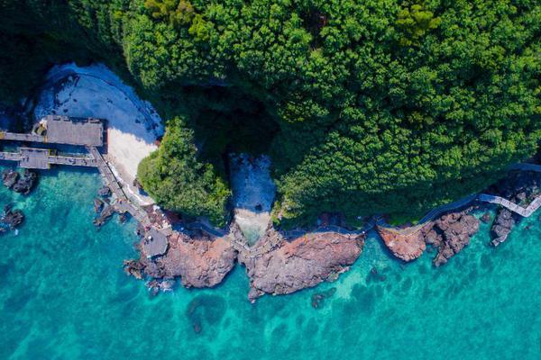 A new report showed that global tourism numbers have returned to pre-pandemic levels this year