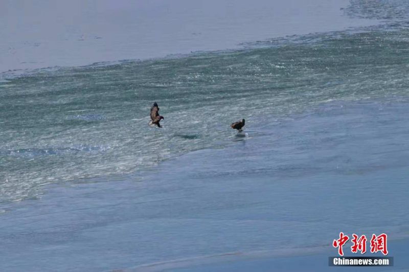 A fire department conducted a water rescue drill on a local lake to practice emergency responses