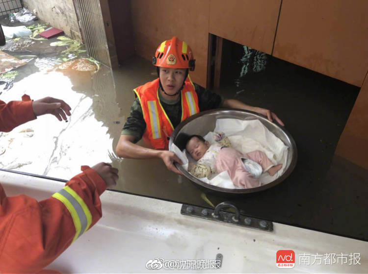 Scientists compare yields of organic and conventional farming methods