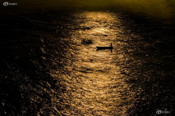 The government released a white paper outlining its long-term strategy for digital governance and data privacy