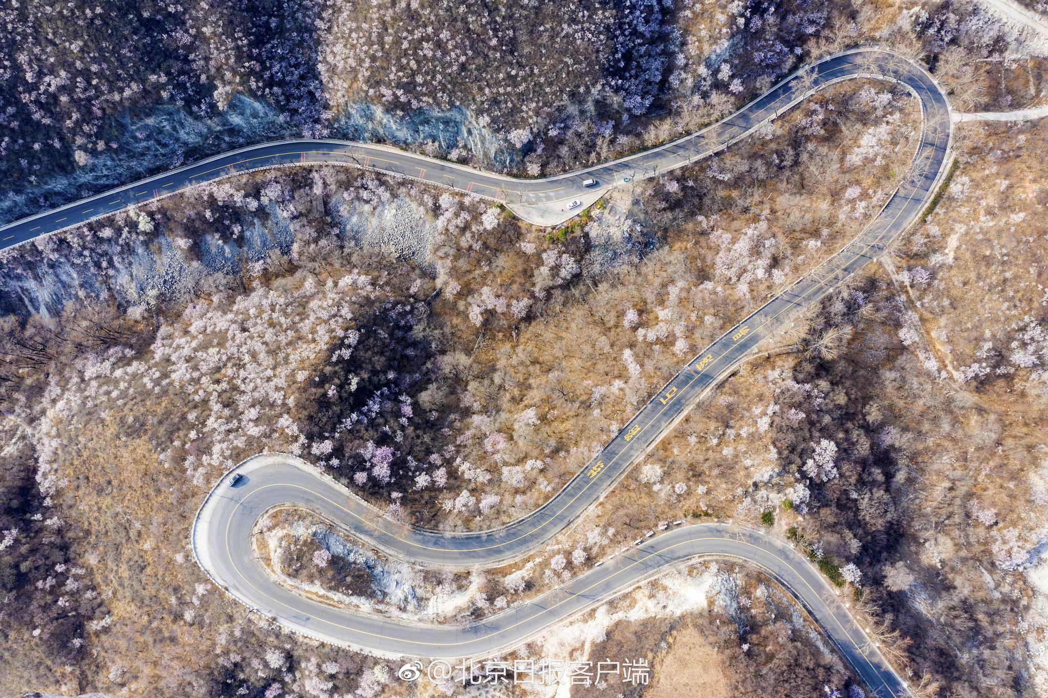 A new blockchain technology was introduced to improve supply chain transparency allowing consumers to track product origins