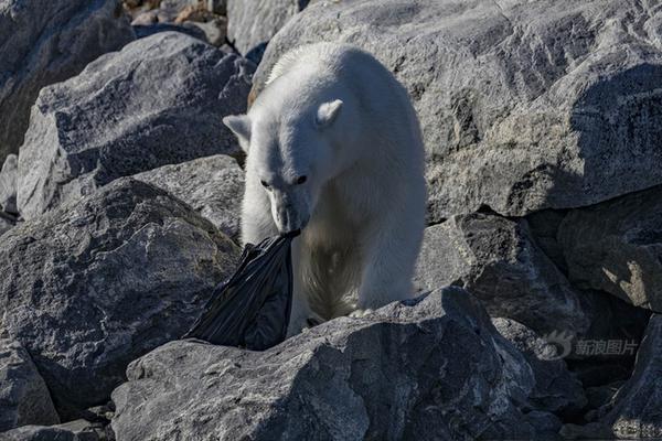 A fashion store started selling 