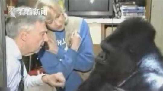 The university offered online courses to students from other countries