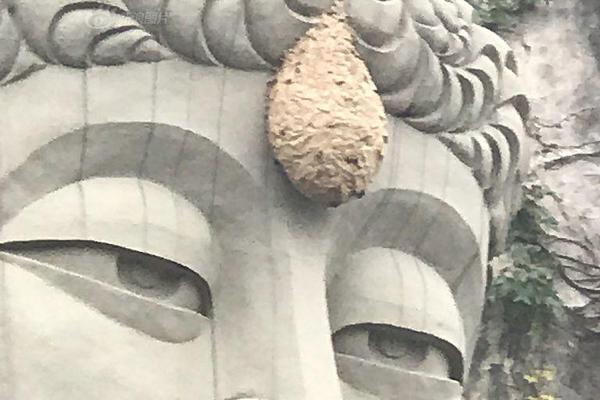 Local residents protested against the construction of a new highway through a park