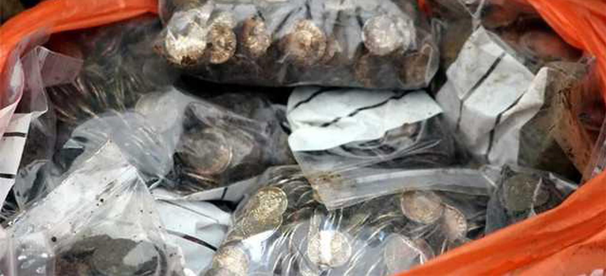 A musician performed at a charity gala that raised $45,000 for a local nonprofit