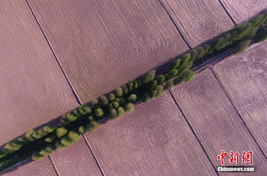 A taxi company added a