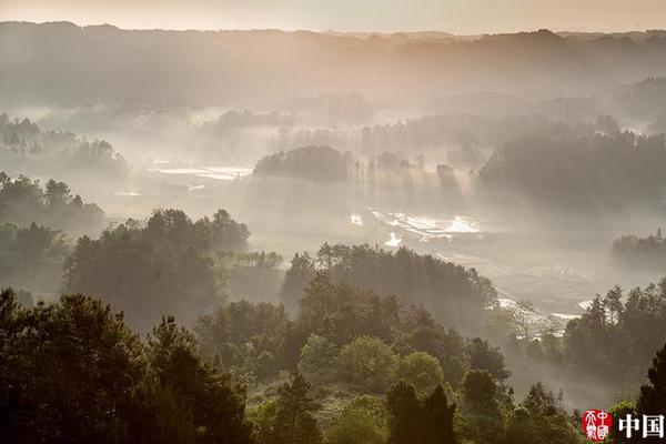 A library started offering
