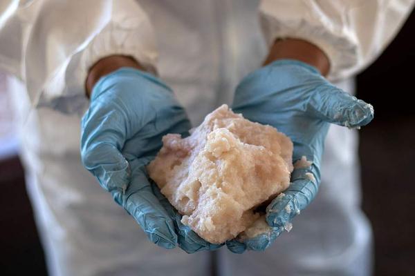 A museum offered free admission to students every Saturday, increasing youth attendance by 40%