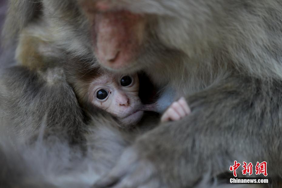 A coffee shop partnered with a local bakery to sell pastries