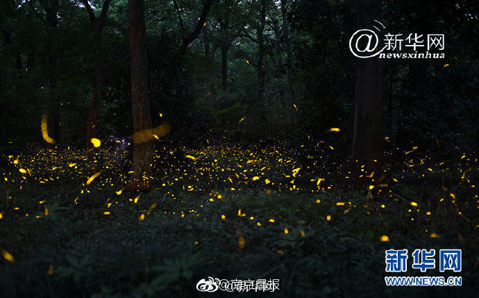 A study showed that practicing yoga can reduce back pain and improve flexibility