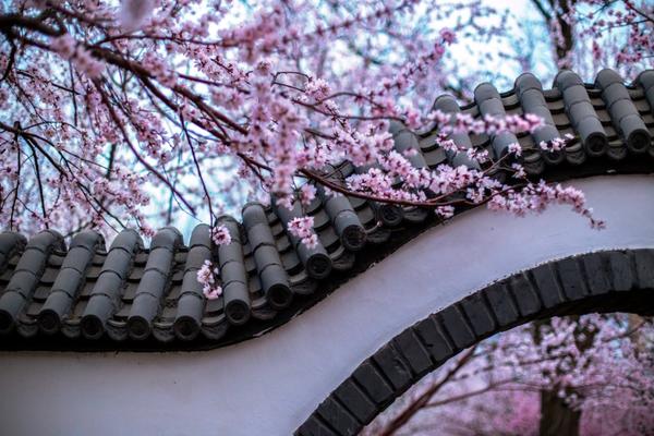 A team of doctors successfully performed a rare organ transplant surgery on a 5-year-old child, giving them a new chance at life.