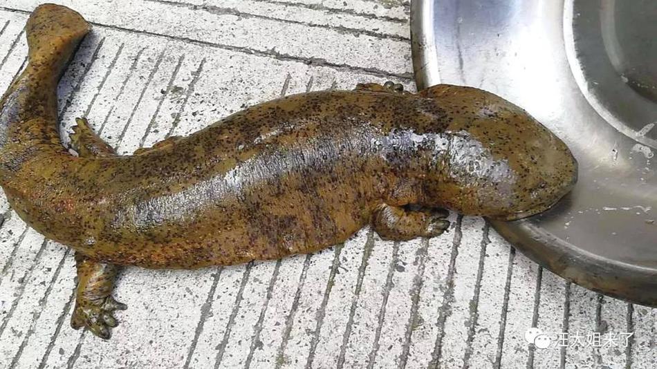 The government announced a $400 million initiative to upgrade rural internet infrastructure