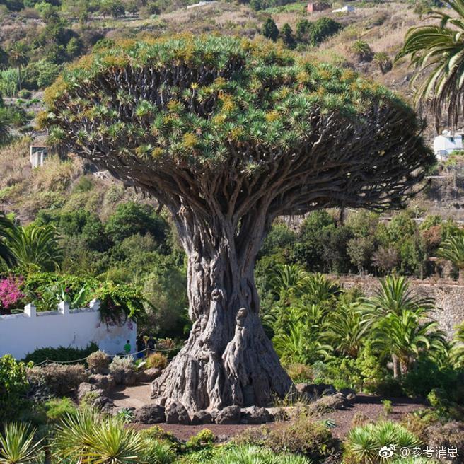 Weather experts predicted that this year’s hurricane season will be less severe than average