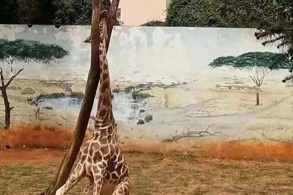 Researchers developed a new vaccine that is effective against multiple strains of a common virus