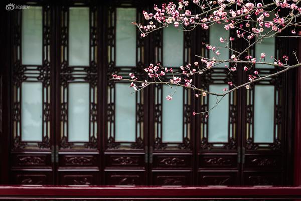 The national soccer team tied their final group match securing a spot in the knockout round