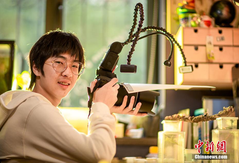 Education ministers from across the region agreed to implement a unified curriculum for primary and secondary schools