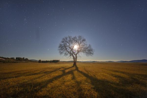 The government launched a program to teach coding skills to unemployed young adults