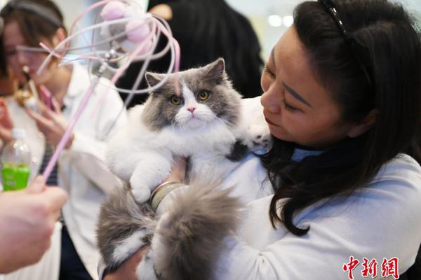 A retailer announced it would offer free shipping on all online orders over $40 during its summer sale