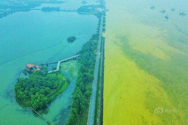The city held a music concert in the park for local residents